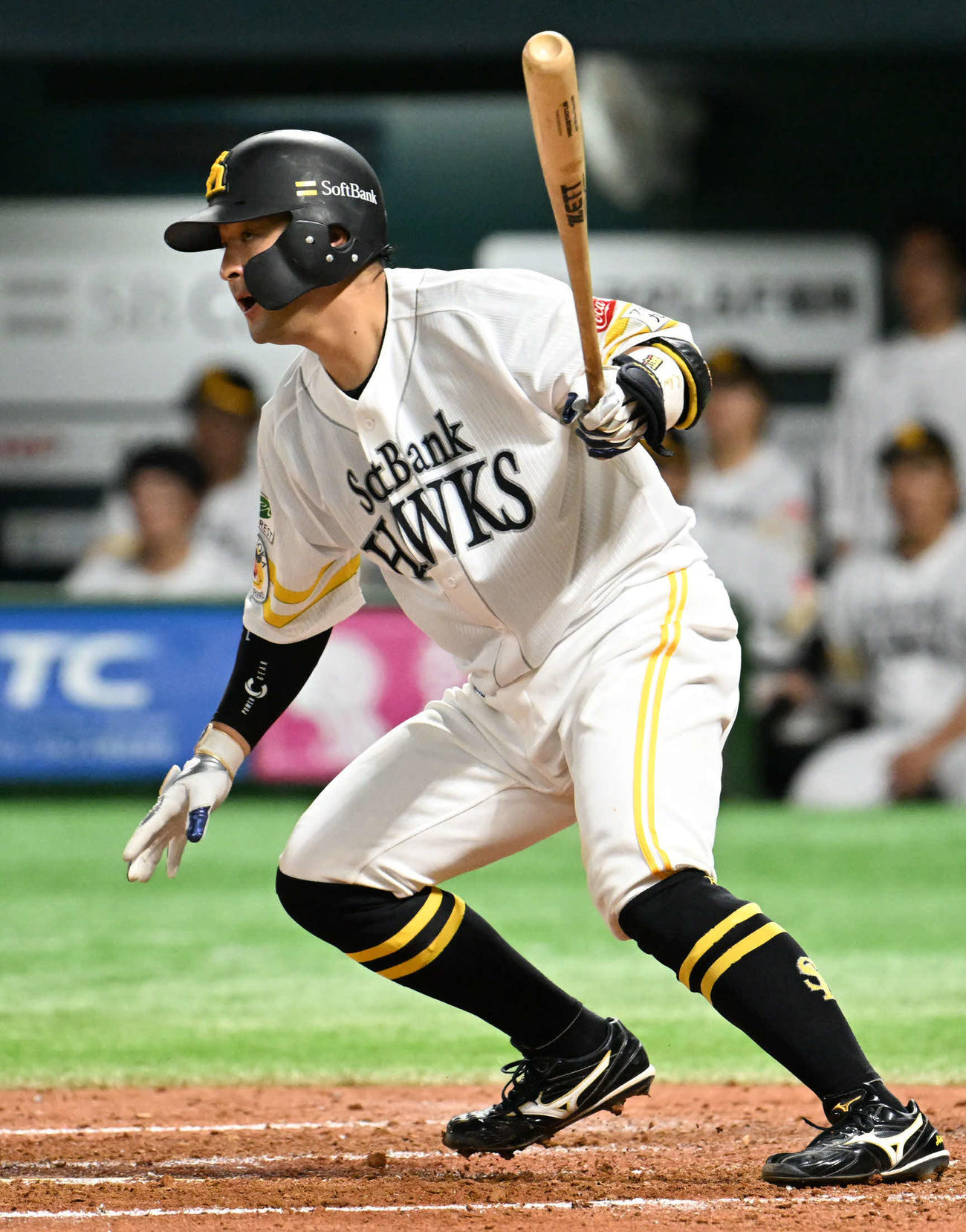 ソフトバンク対オリックス　2回裏ソフトバンク無死満塁、嶺井は左前に適時打を放つ（撮影・林敢治）