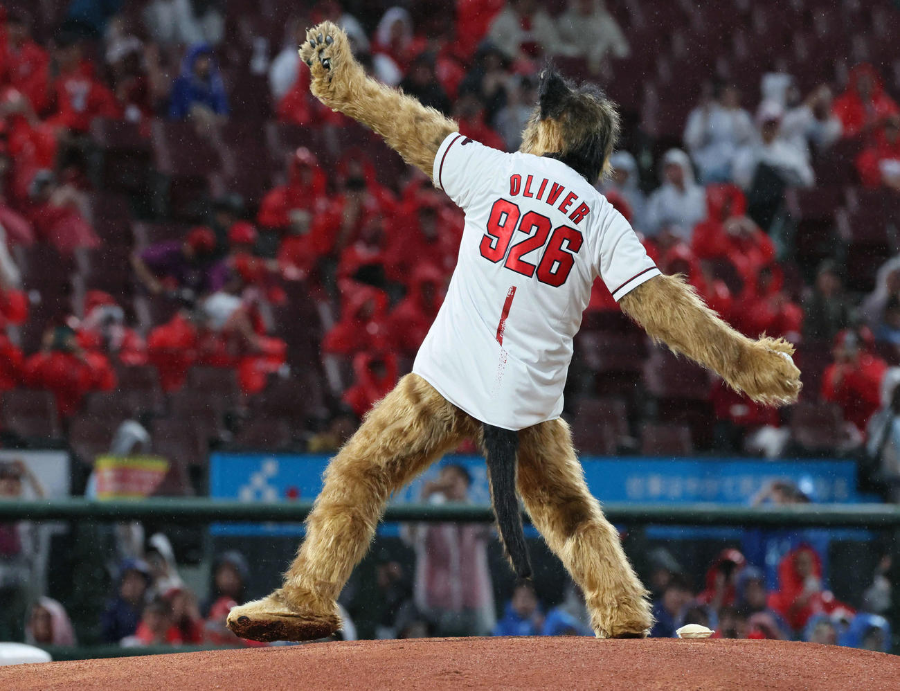 広島対DeNA　「THEオリバーな犬、（Gosh！！）このヤロウMOVIE」のPRで始球式に登場したオダギリジョー（撮影・加藤孝規）