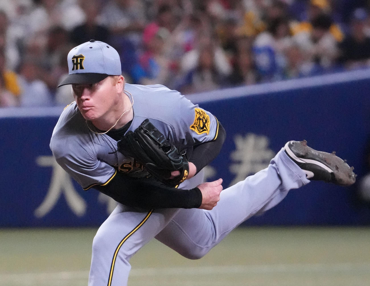 中日対阪神　1回裏、登板する阪神先発のネルソン（撮影・森本幸一）