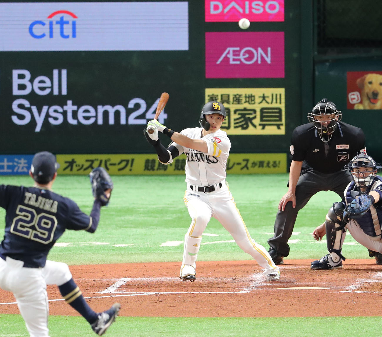 ソフトバンク対オリックス　2回裏ソフトバンク2死二塁、周東は中前適時打を放つ（撮影・梅根麻紀）