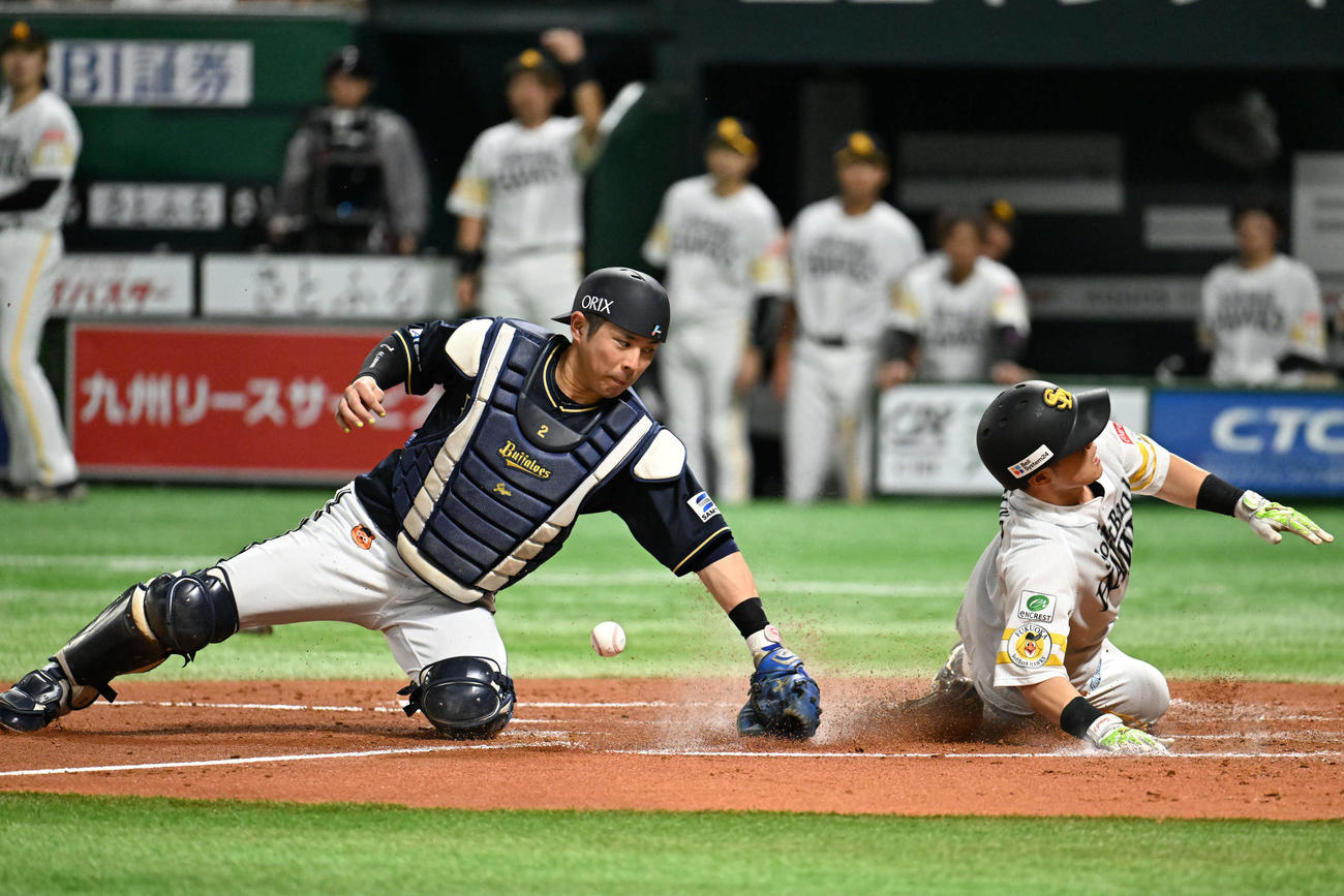 ソフトバンク対オリックス　2回裏ソフトバンク2死二塁、生還する海野（右）左は若月（撮影・林敢治）
