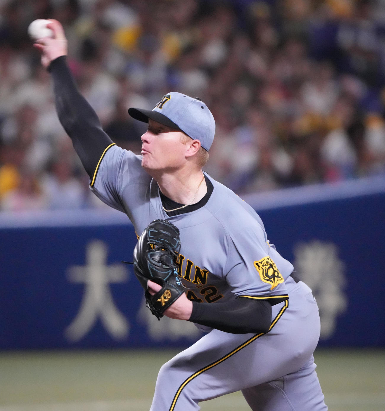 中日対阪神　1回裏、登板する阪神先発のネルソン（撮影・森本幸一）