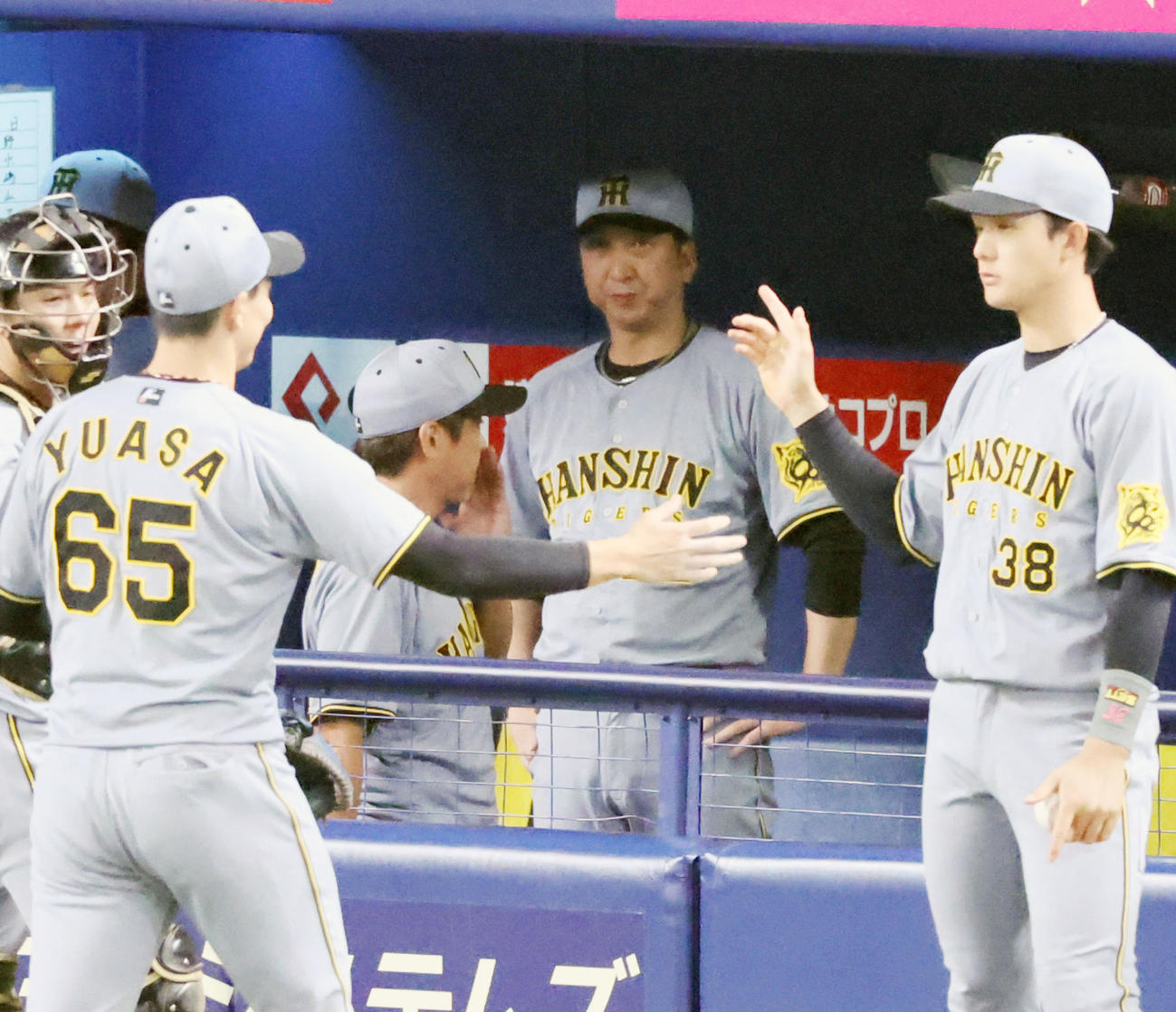 中日対阪神　4回裏を終えベンチからグラウンドを見る藤川監督（撮影・加藤哉）
