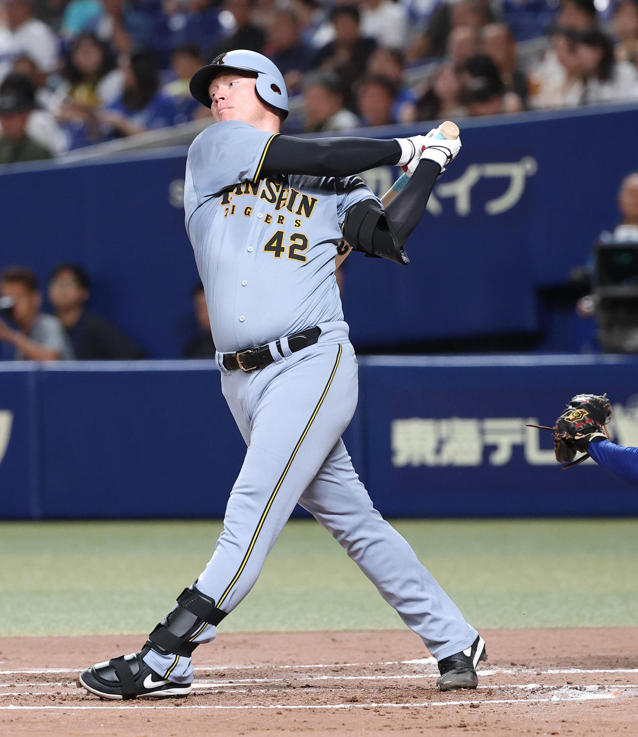 中日対阪神　3回表阪神無死、ネルソンは三振に倒れる（撮影・上田博志）