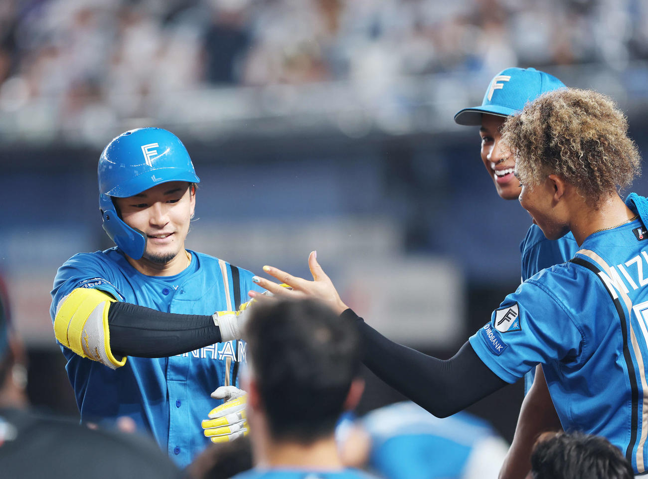 ロッテ対日本ハム　7回表日本ハム無死、右中間ソロ本塁打で生還し、チームメートに迎えられる水野（撮影・河田真司）