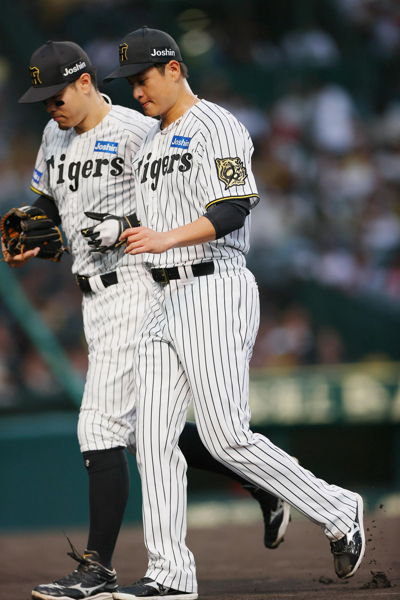 阪神対広島　阪神先発大竹（手前）は初回を投げ終えベンチへ引きあげる。左は佐藤輝（撮影・上山淳一）