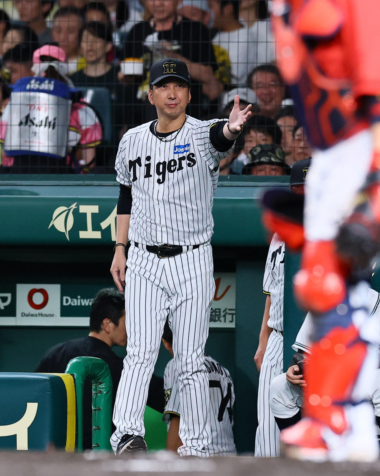 阪神対広島　6回、代打を告げる阪神藤川監督（撮影・藤尾明華）