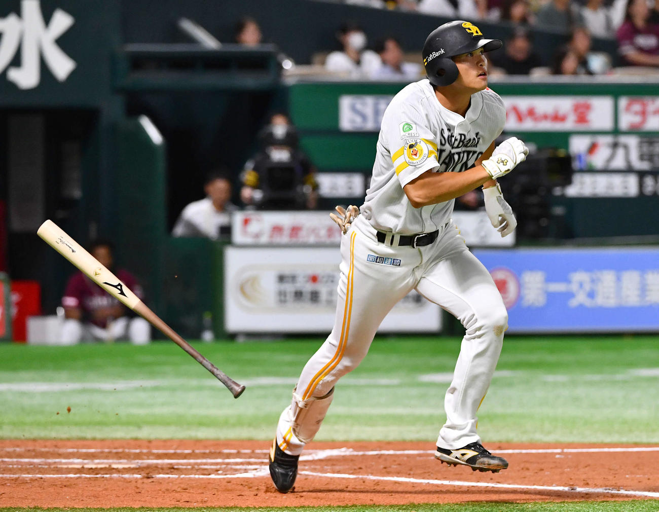 ソフトバンク対楽天　7回裏ソフトバンク1死二塁、笹川は右越え2点本塁打を放つ（撮影・岩下翔太）