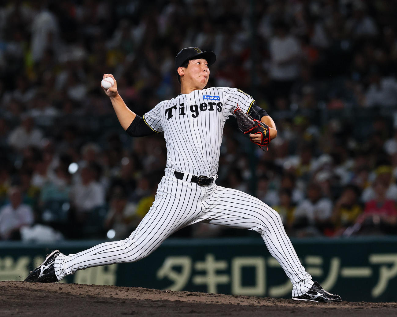 阪神対広島　8回、3番手で登板した阪神畠（撮影・藤尾明華）