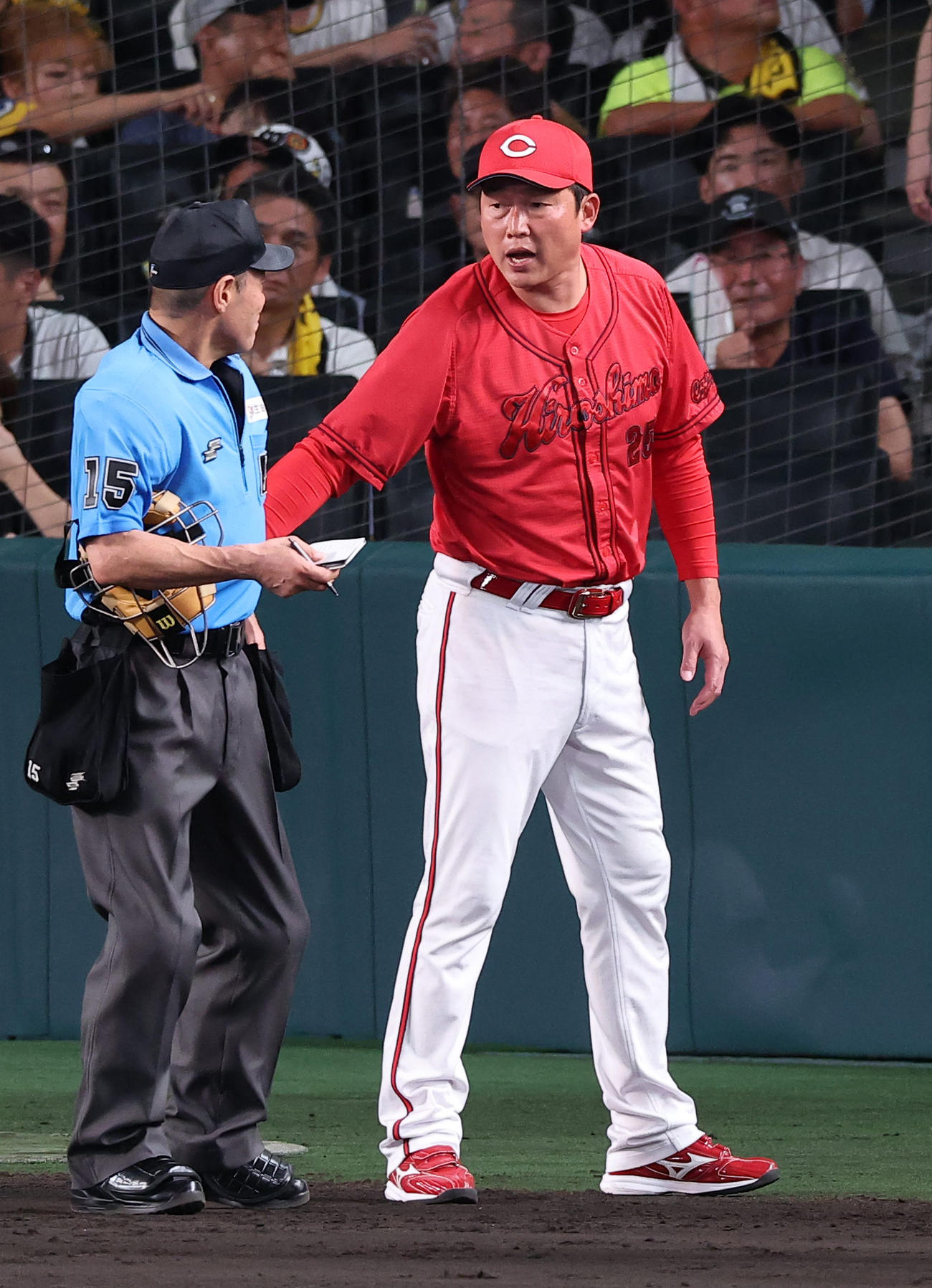 阪神対広島　選手交代を告げる新井監督（撮影・上田博志）