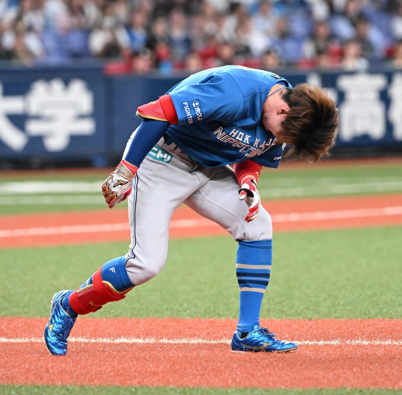オリックス対日本ハム　8回表日本ハム無死、死球を「受ける五十幡（撮影・和賀正仁）