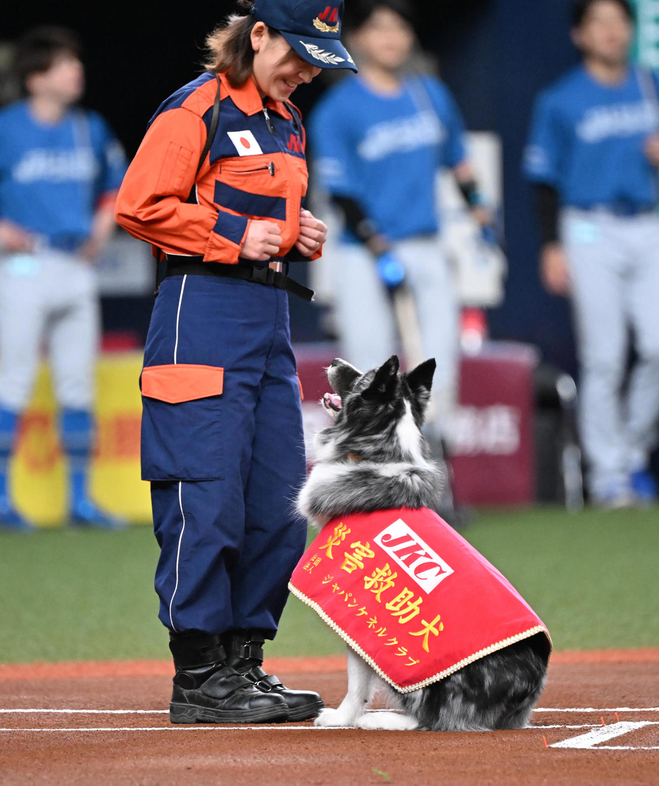 オリックス対日本ハム　特別始球式を行う災害救助犬「アッシュ」と訓練士の中野汀彩さん（撮影・和賀正仁）