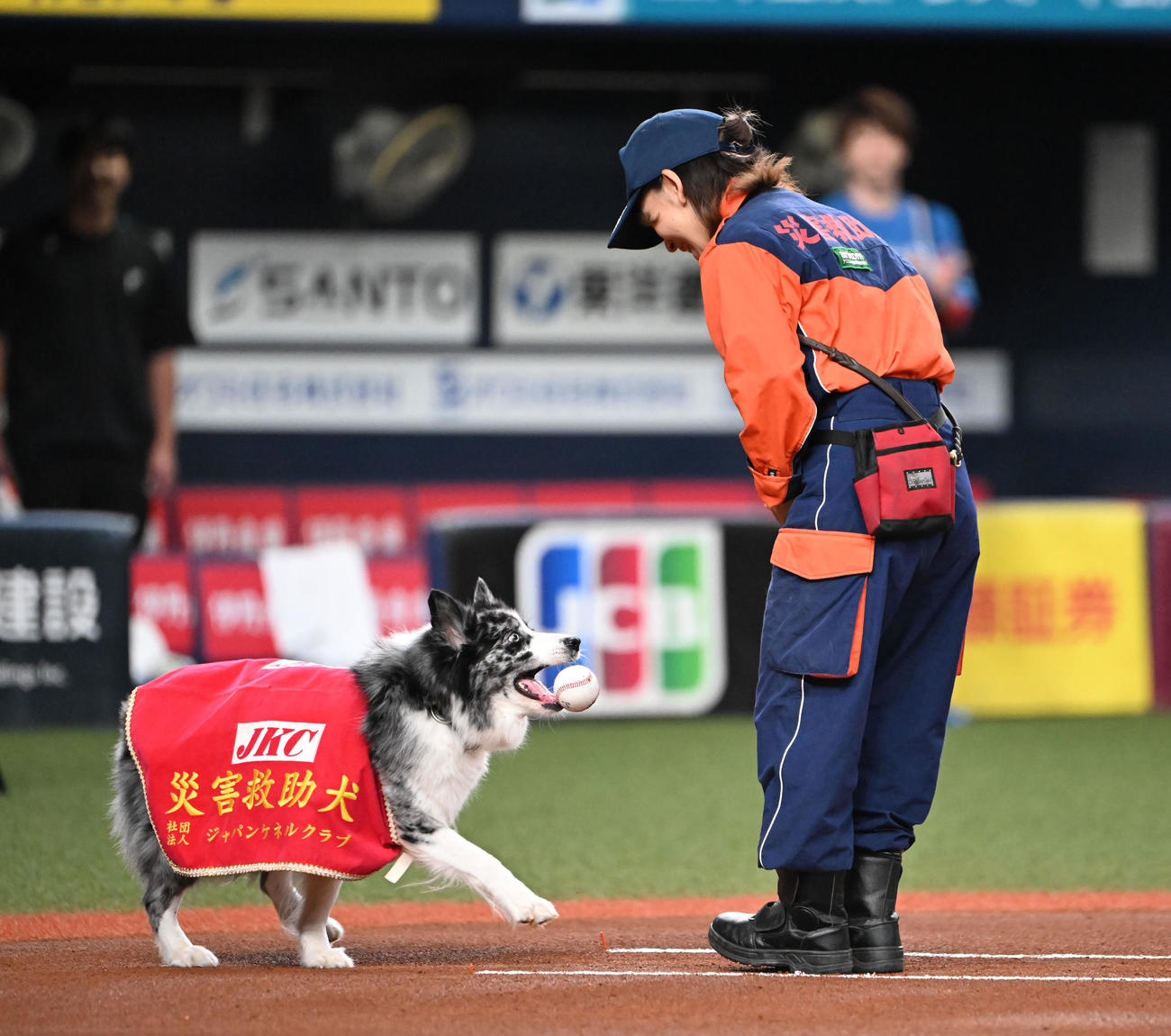 オリックス対日本ハム　特別始球式を行う災害救助犬「アッシュ」と訓練士の中野汀彩さん（撮影・和賀正仁）