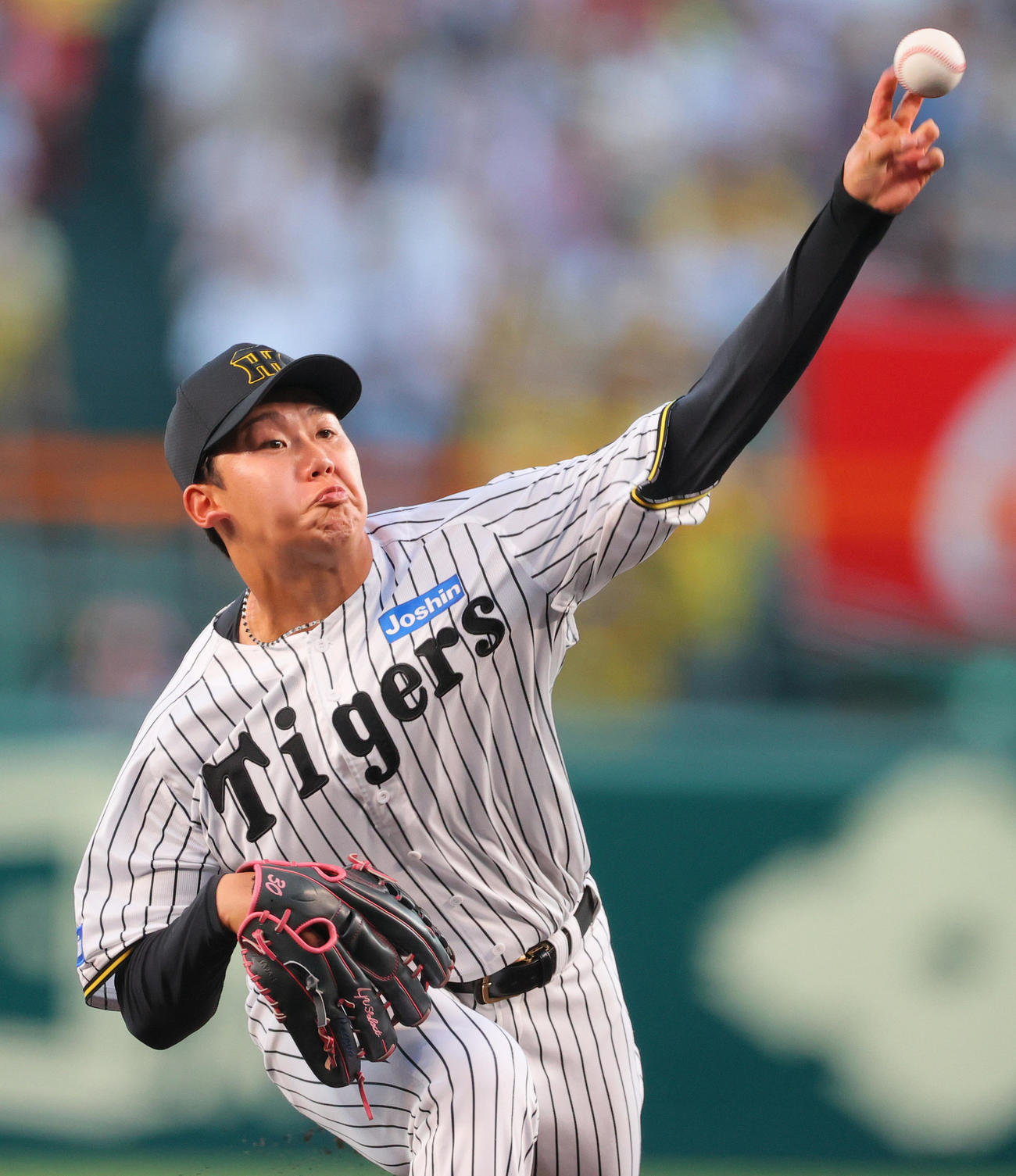阪神対広島　阪神先発の門別（撮影・上山淳一）