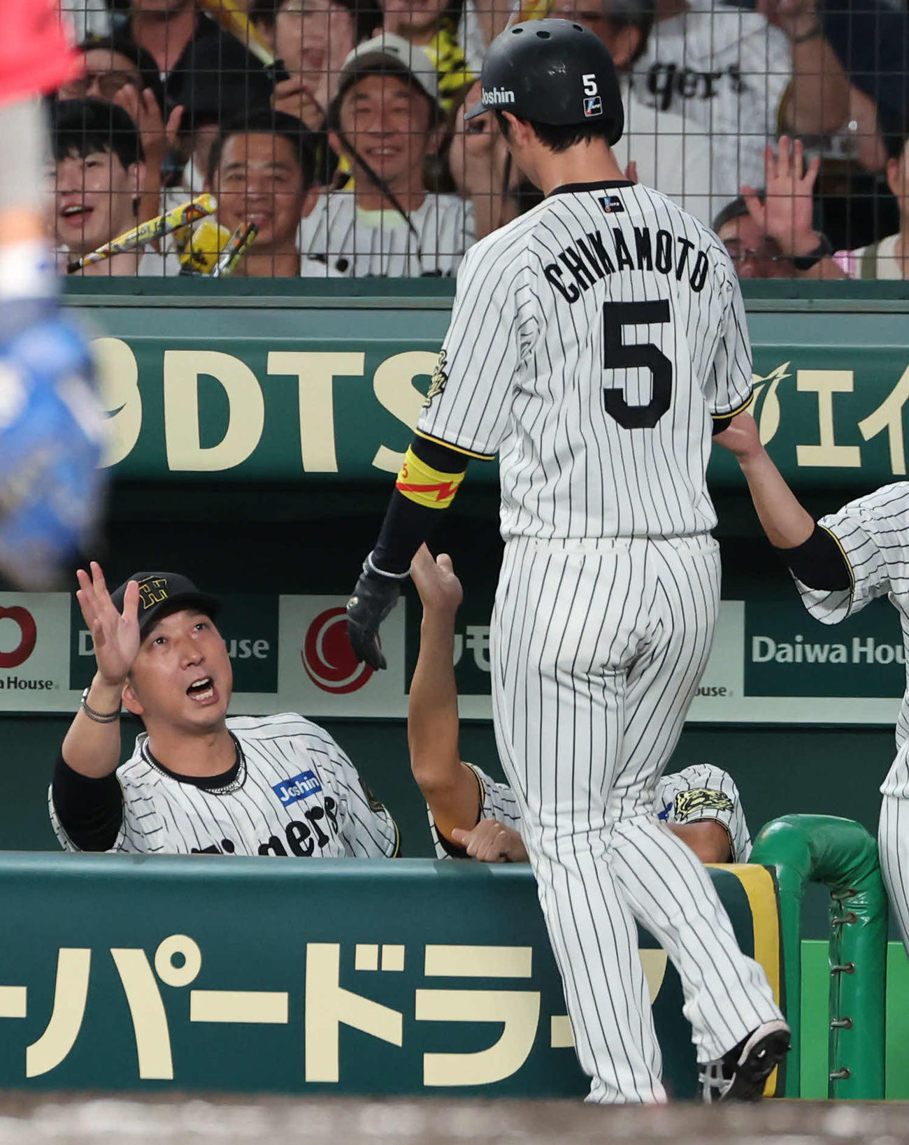 阪神対広島　6回裏阪神無死一、三塁、藤川監督は森下の適時打で生還した近本光司を迎える（撮影・西尾就之）