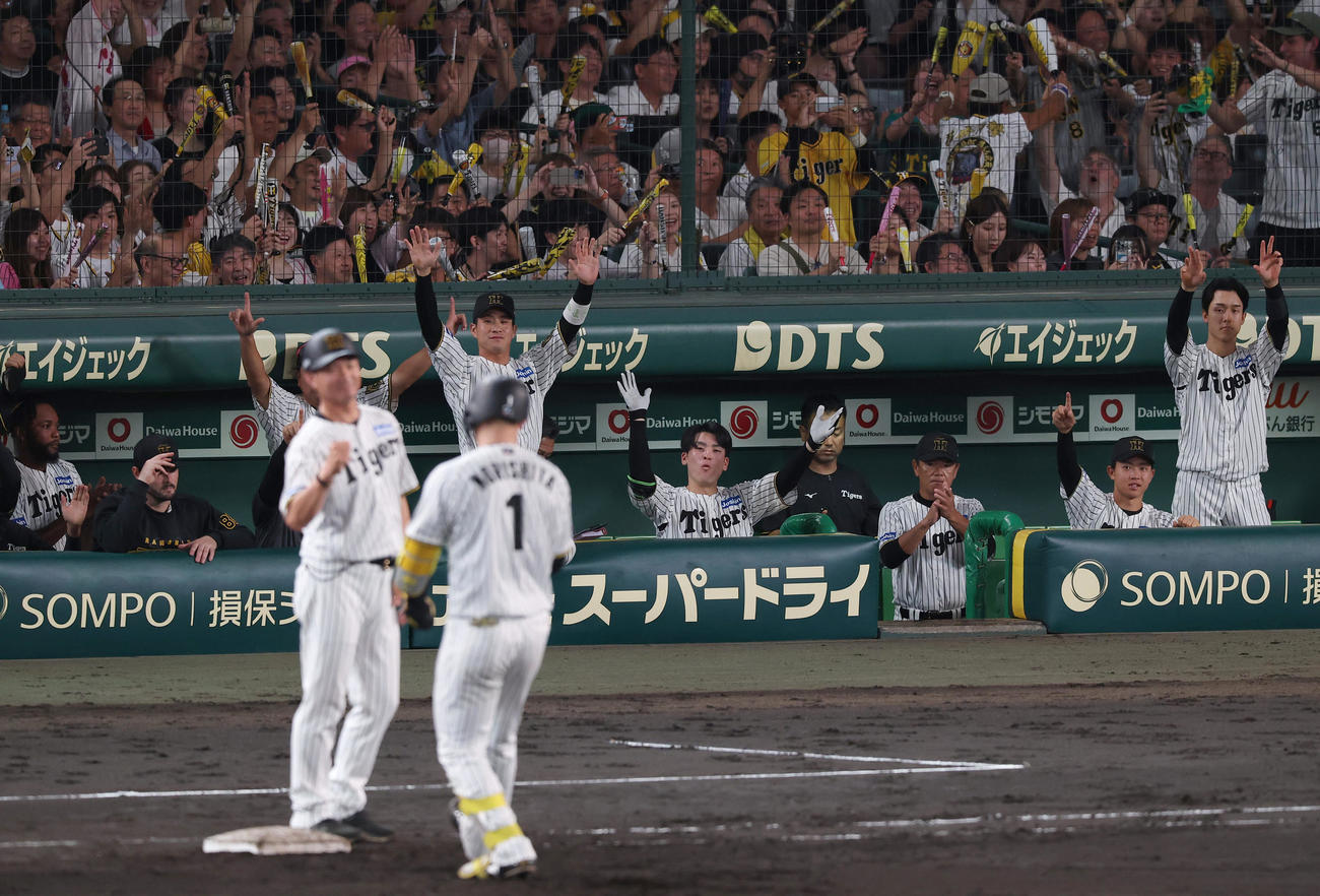 阪神対広島　6回裏阪神無死一、三塁、森下の勝ち越し適時打で盛り上がる阪神ベンチ（撮影・上田博志）
