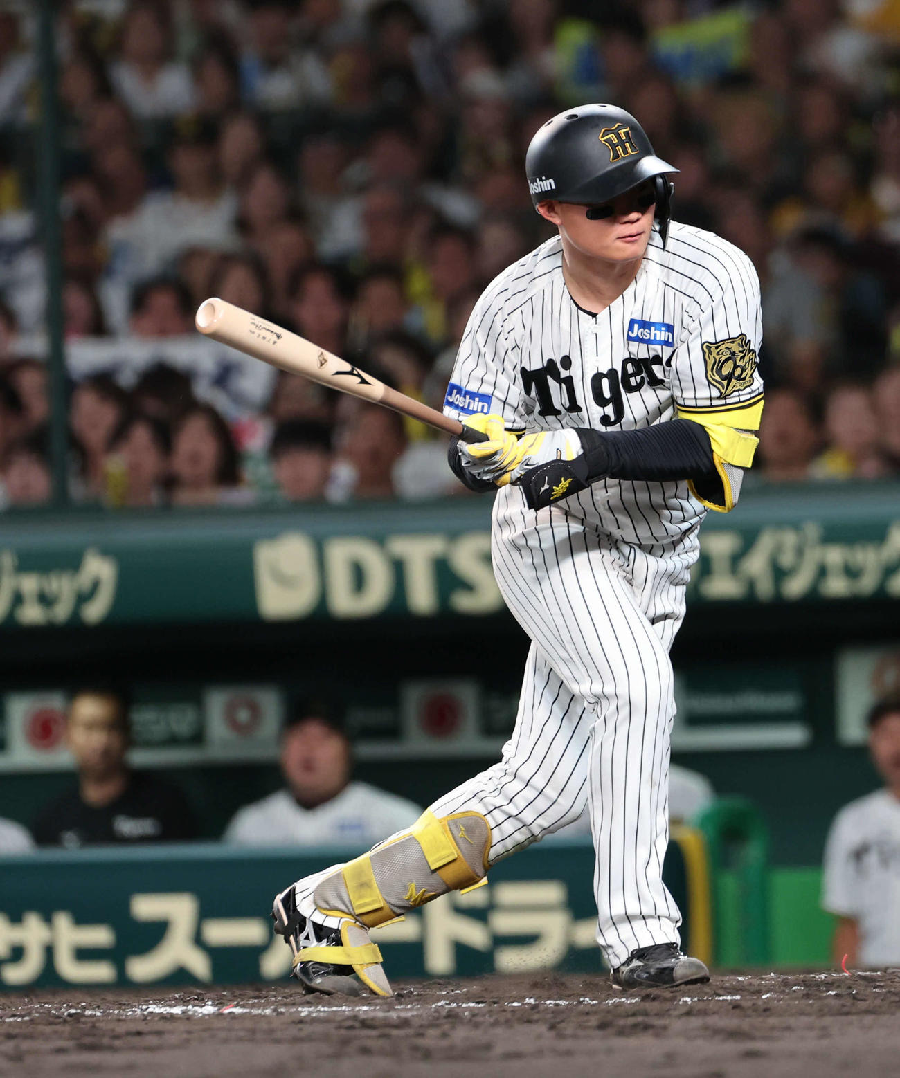 阪神対広島　7回裏阪神1死一塁、森下は死球を受ける（撮影・西尾就之）