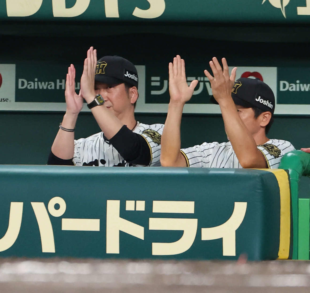 阪神対広島　6回裏阪神無死一、三塁、藤川監督は森下が左前適時打を放ち、ベンチで拍手（撮影・西尾就之）
