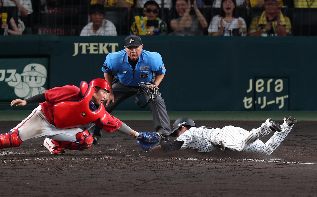 阪神対広島　4回裏阪神1死一、二塁、中野は佐藤輝の右前同点適時打で生還する（撮影・上田博志）