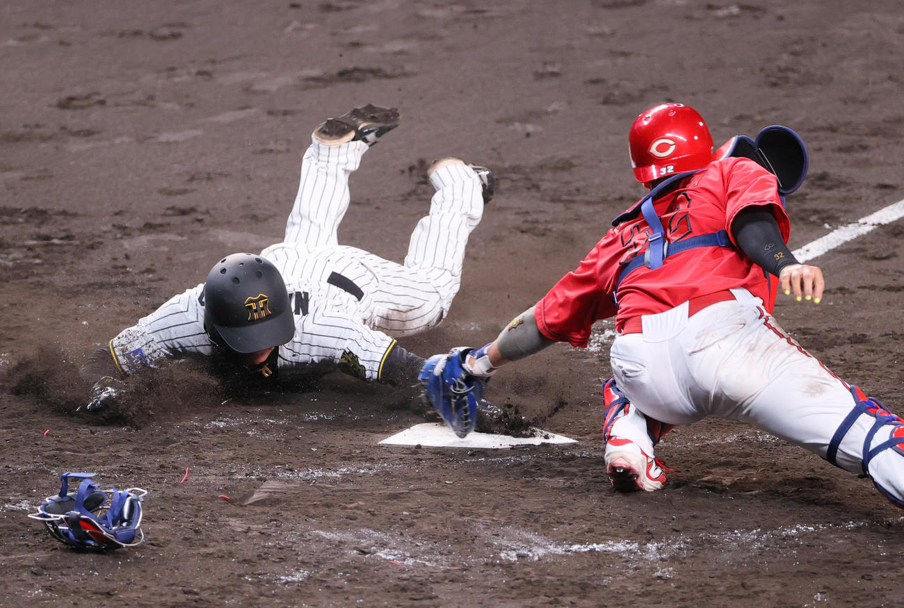 阪神対広島　4回裏阪神1死一、二塁、二走中野（左）は佐藤の右前適時打で生還する。捕手石原（撮影・上山淳一）