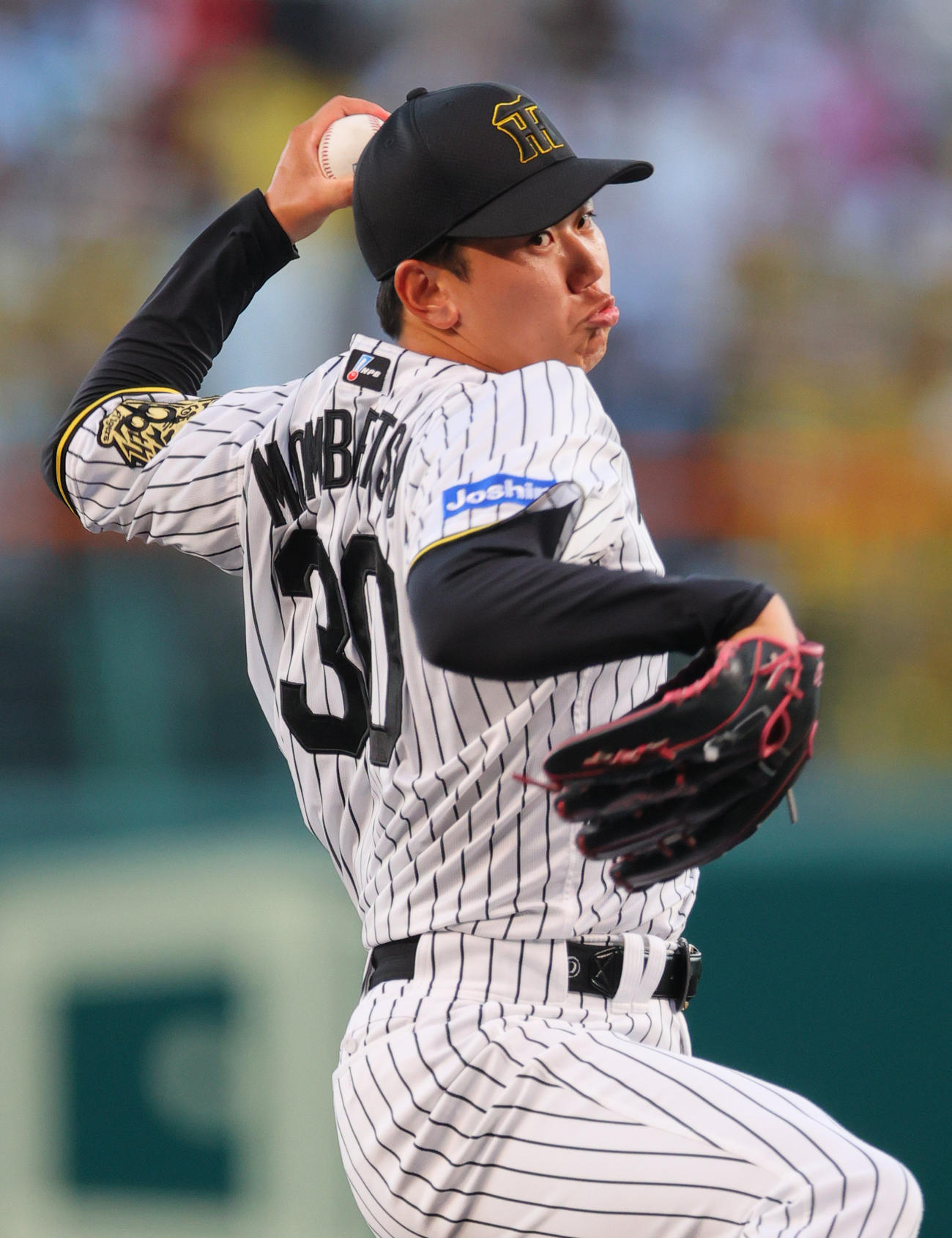 阪神対広島　阪神先発の門別（撮影・上山淳一）