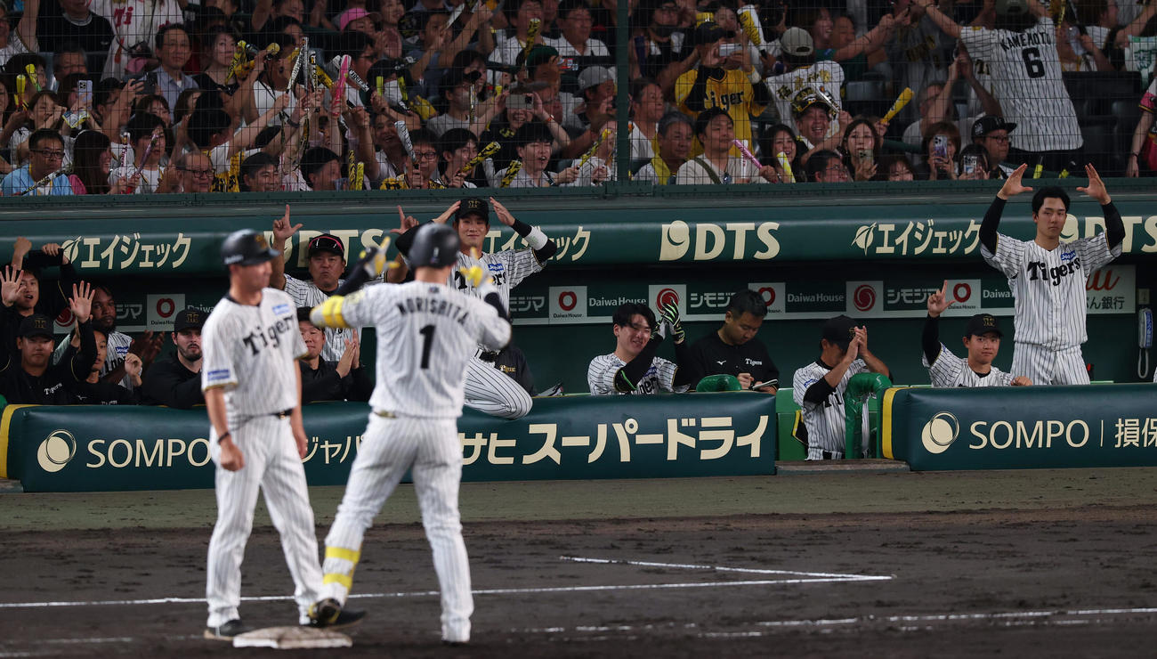 阪神対広島　6回裏阪神無死一、三塁、森下の勝ち越し適時打で盛り上がる阪神ベンチ（撮影・上田博志）