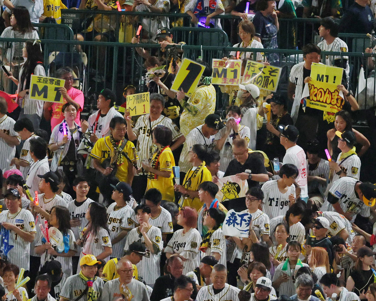 阪神対広島　優勝マジック1となり盛り上がる阪神ファン（撮影・上山淳一）