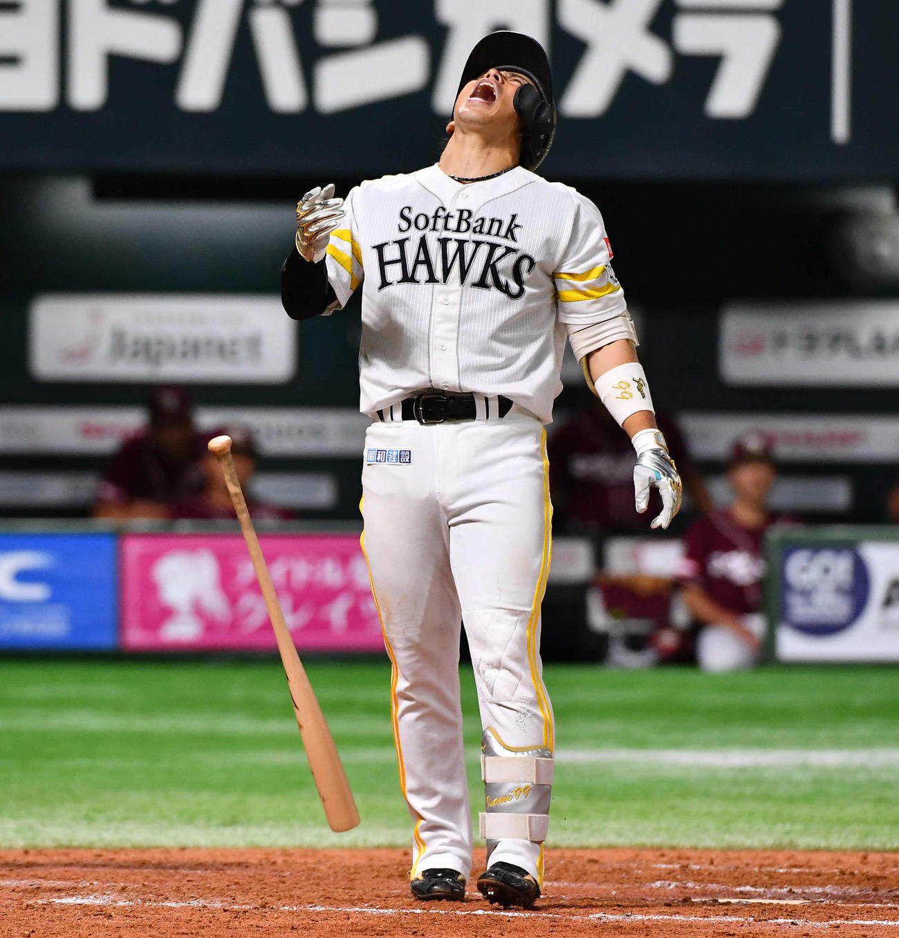 ソフトバンク対楽天　5回裏ソフトバンク1死、見逃し三振に倒れ、悔しがる野村（撮影・岩下翔太）