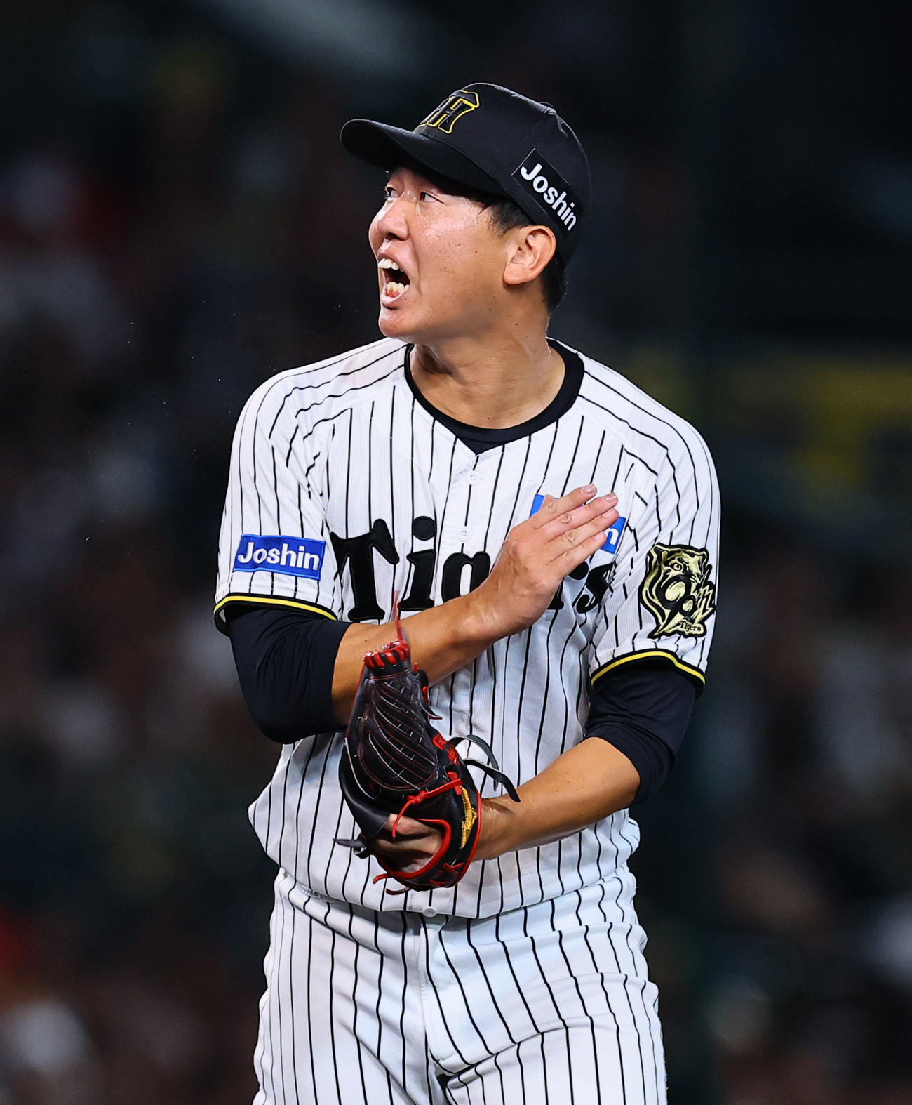 阪神畠世周（2025年9月6日撮影）