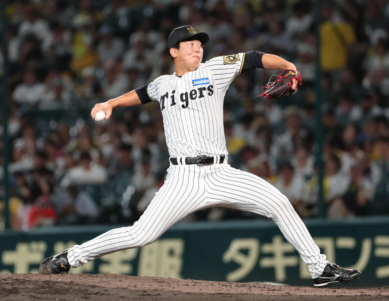 阪神畠世周（2025年9月6日撮影）