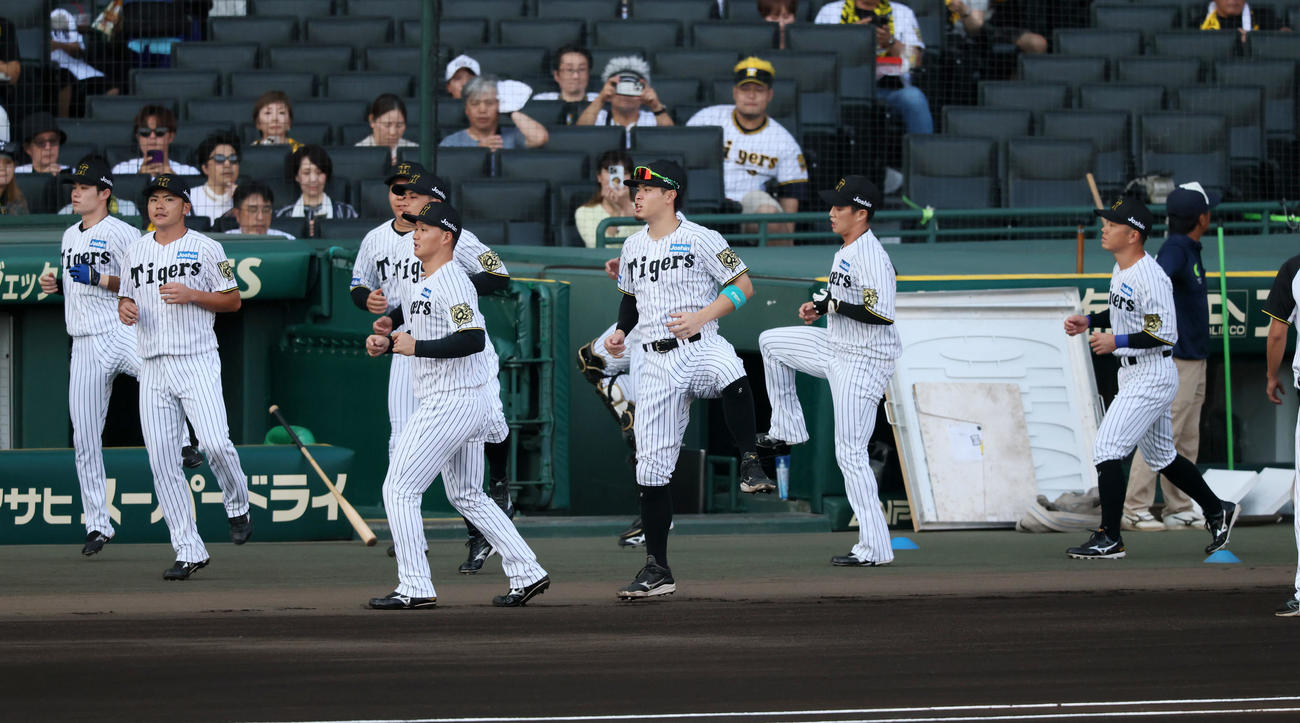 阪神対広島　試合前のウオーミングアップを行う阪神ナイン（撮影・加藤哉）