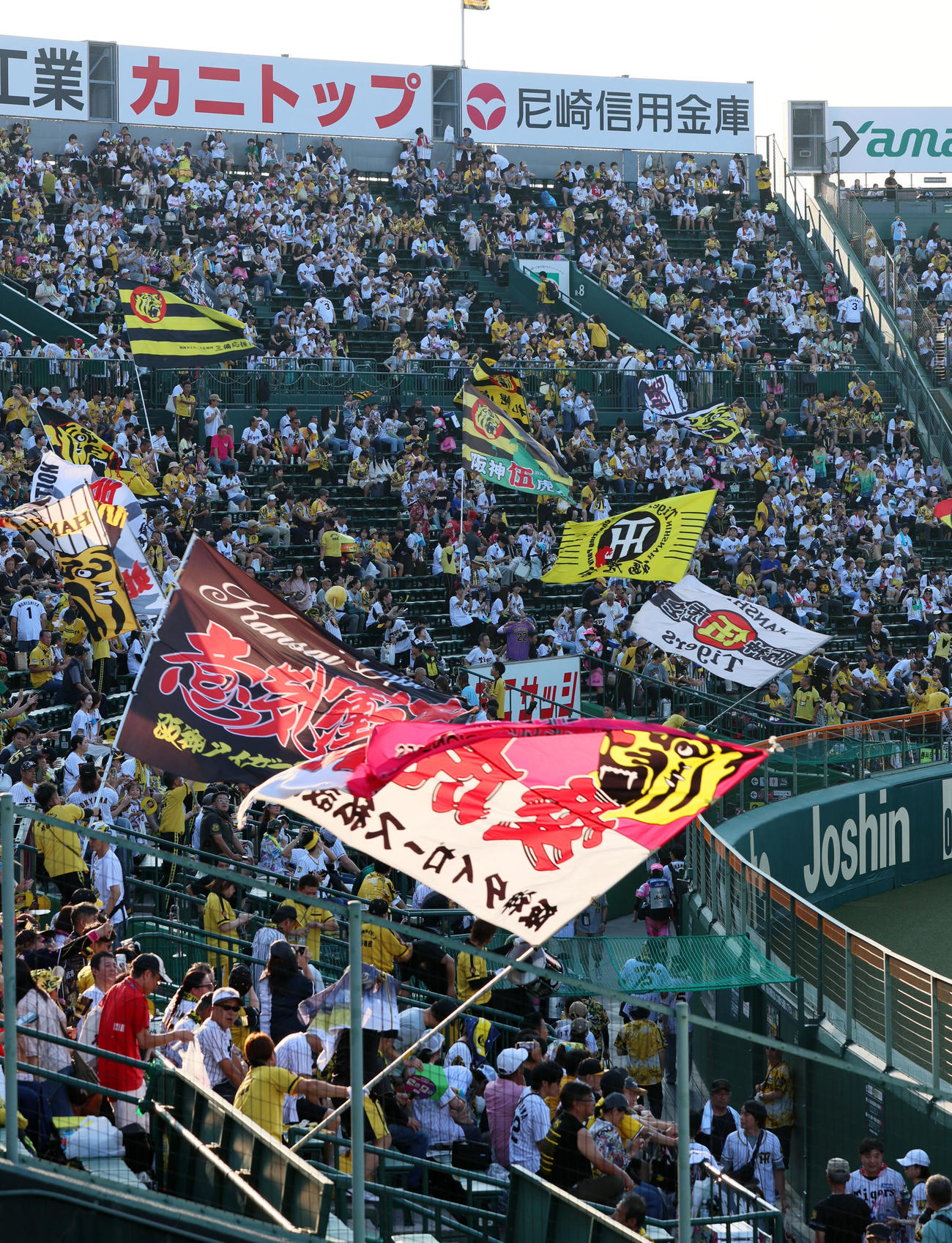 試合前から声援を送る阪神ファン（撮影・加藤哉）