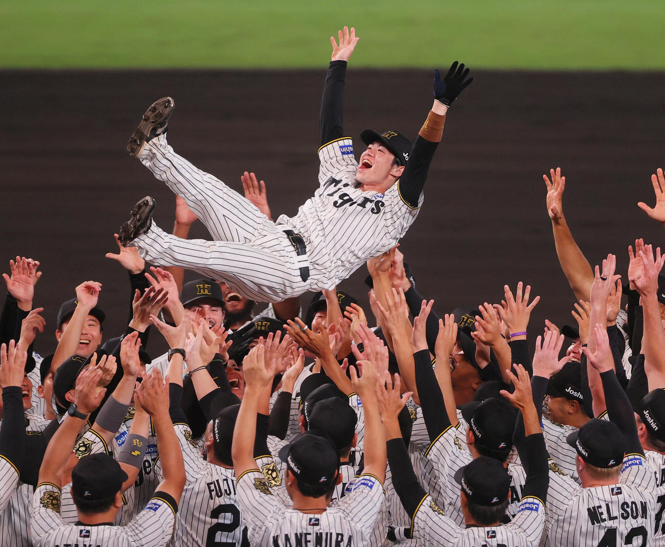 阪神対広島　セ・リーグ優勝を決め、ナインから胴上げされる阪神中野（撮影・上山淳一）