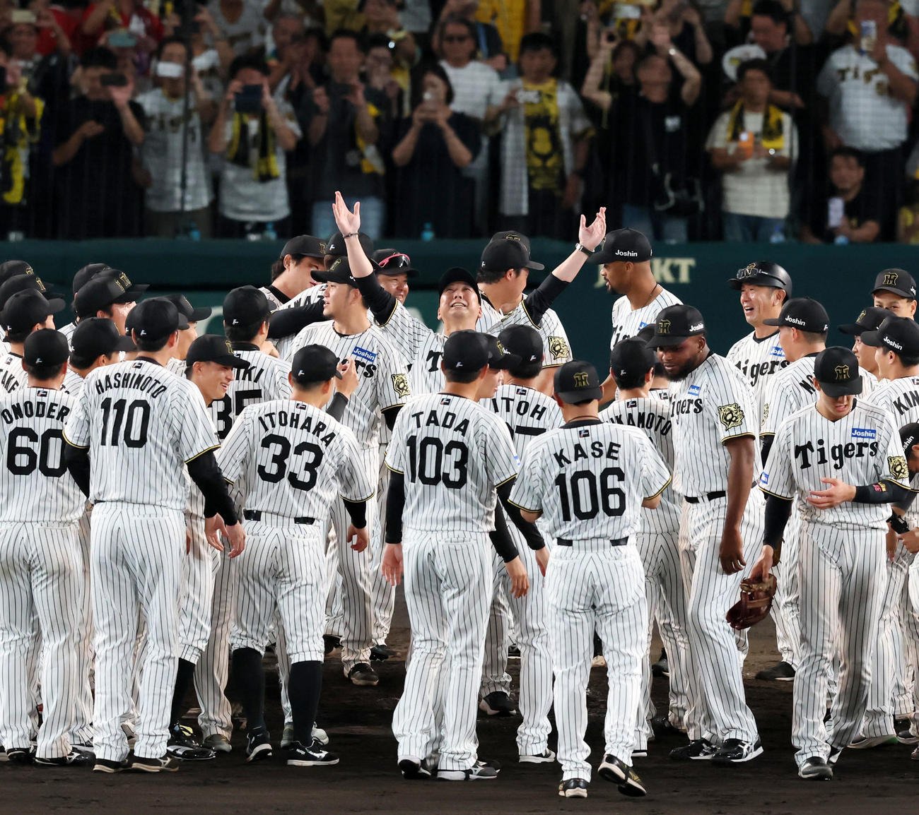 阪神対広島　リーグ優勝を決めナインから胴上げされる前にセンター方向を向く阪神藤川監督（撮影・加藤哉）