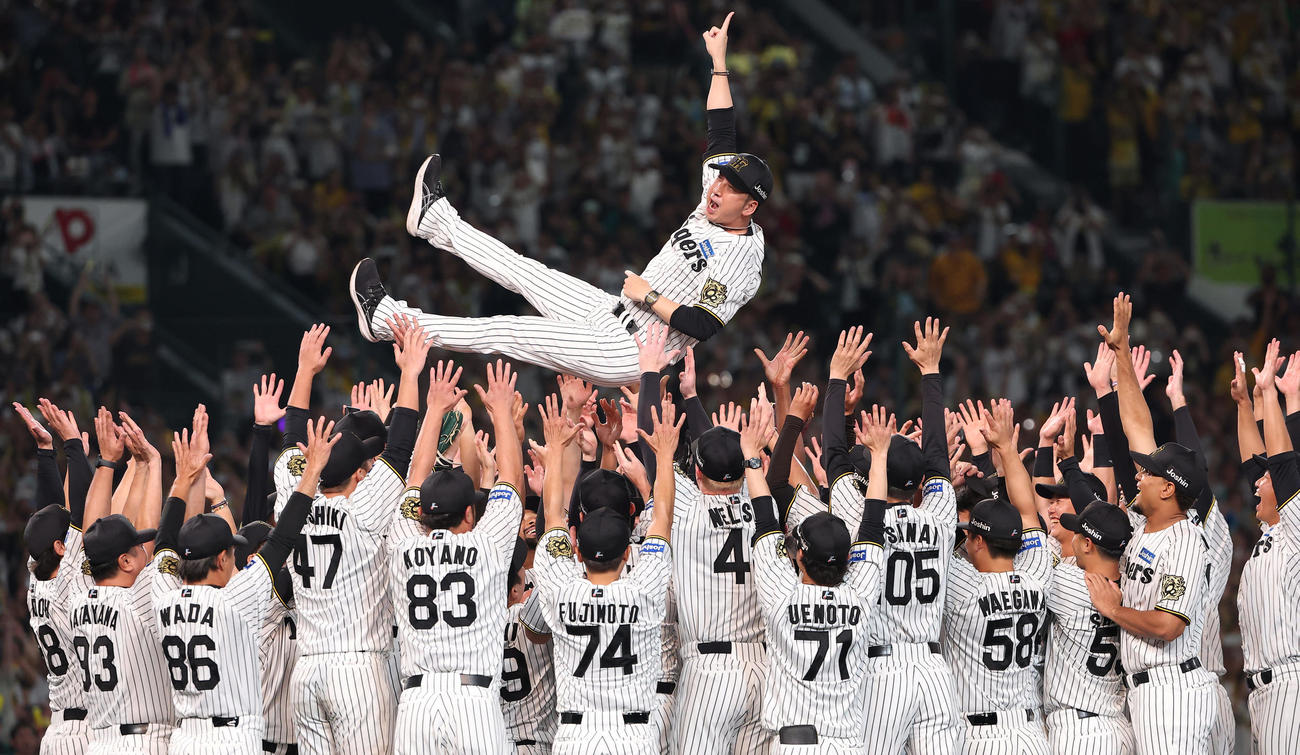 阪神対広島　優勝を決めた藤川監督はナインから胴上げされる（撮影・上田博志）