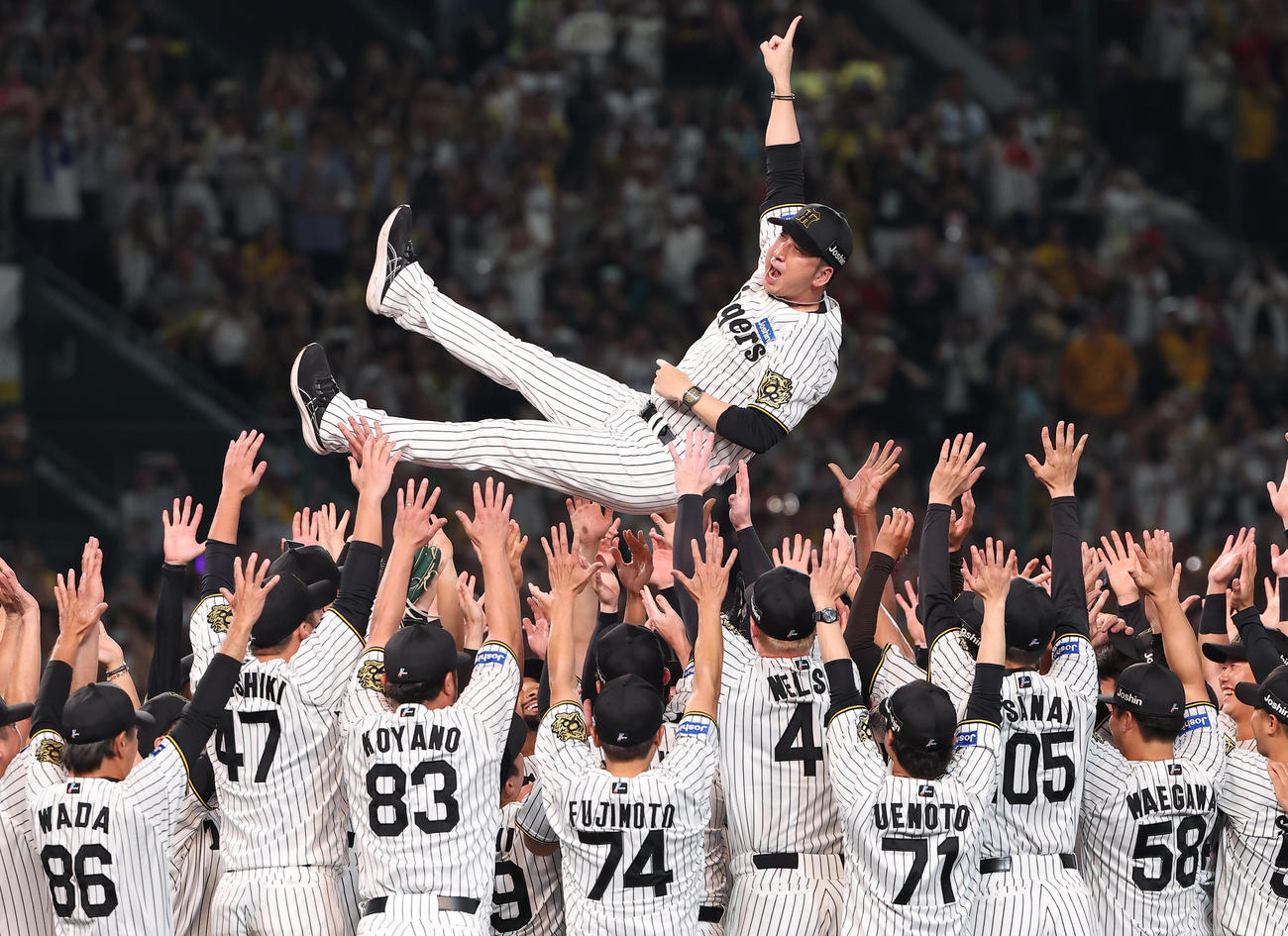 阪神対広島　優勝を決めた藤川監督はナインから胴上げされる（撮影・上田博志）