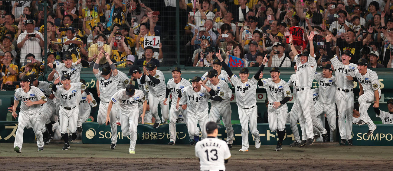 阪神対広島　優勝が決まりベンチを飛び出す阪神ナイン（撮影・西尾就之）