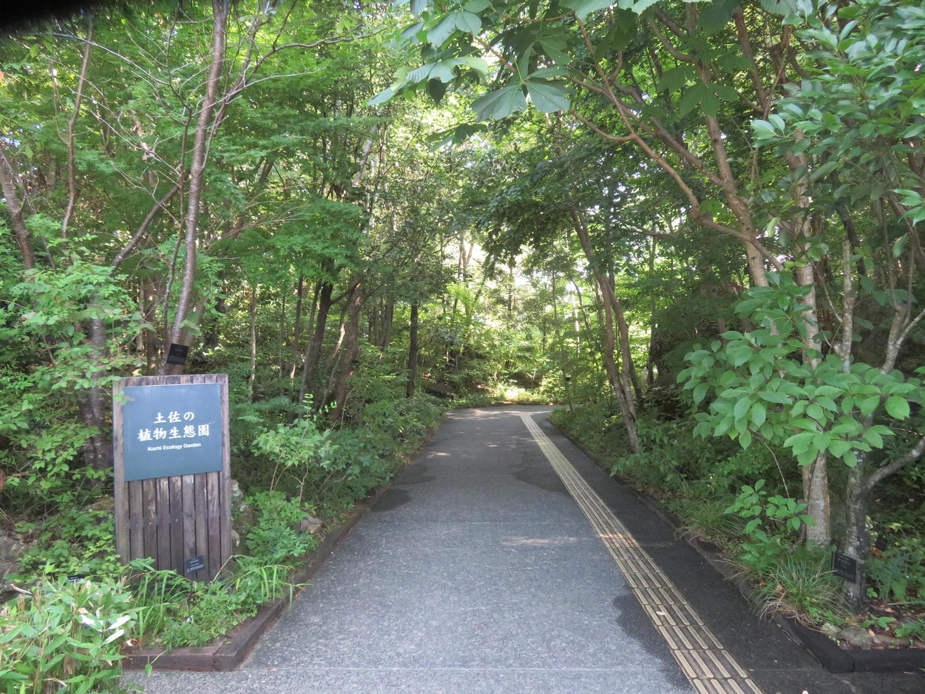 阪神藤川球児監督が訪れた「高知県立牧野植物園」（撮影・磯綾乃）