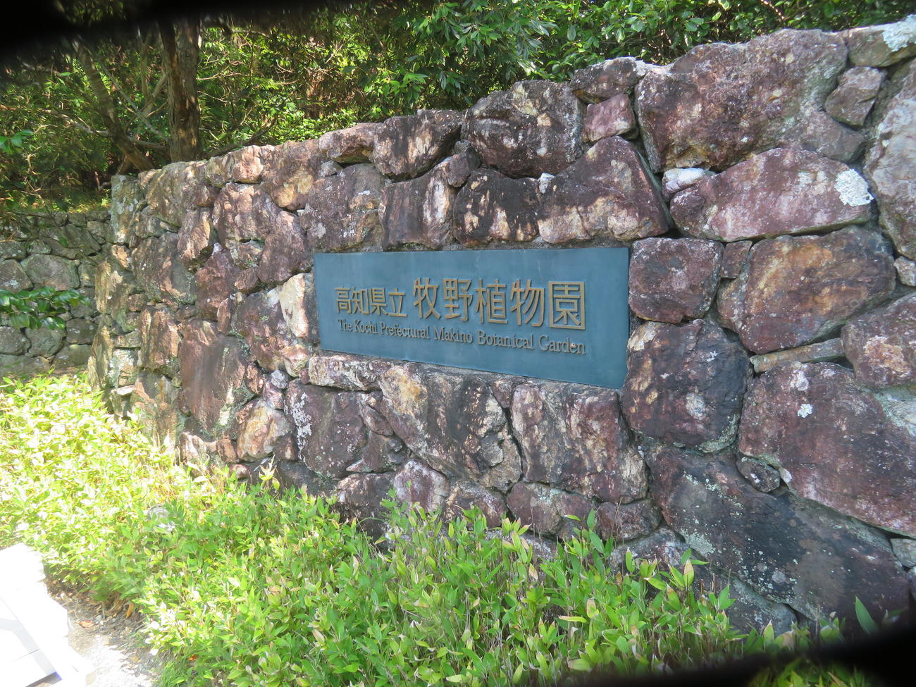 阪神藤川球児監督が訪れた「高知県立牧野植物園」（撮影・磯綾乃）