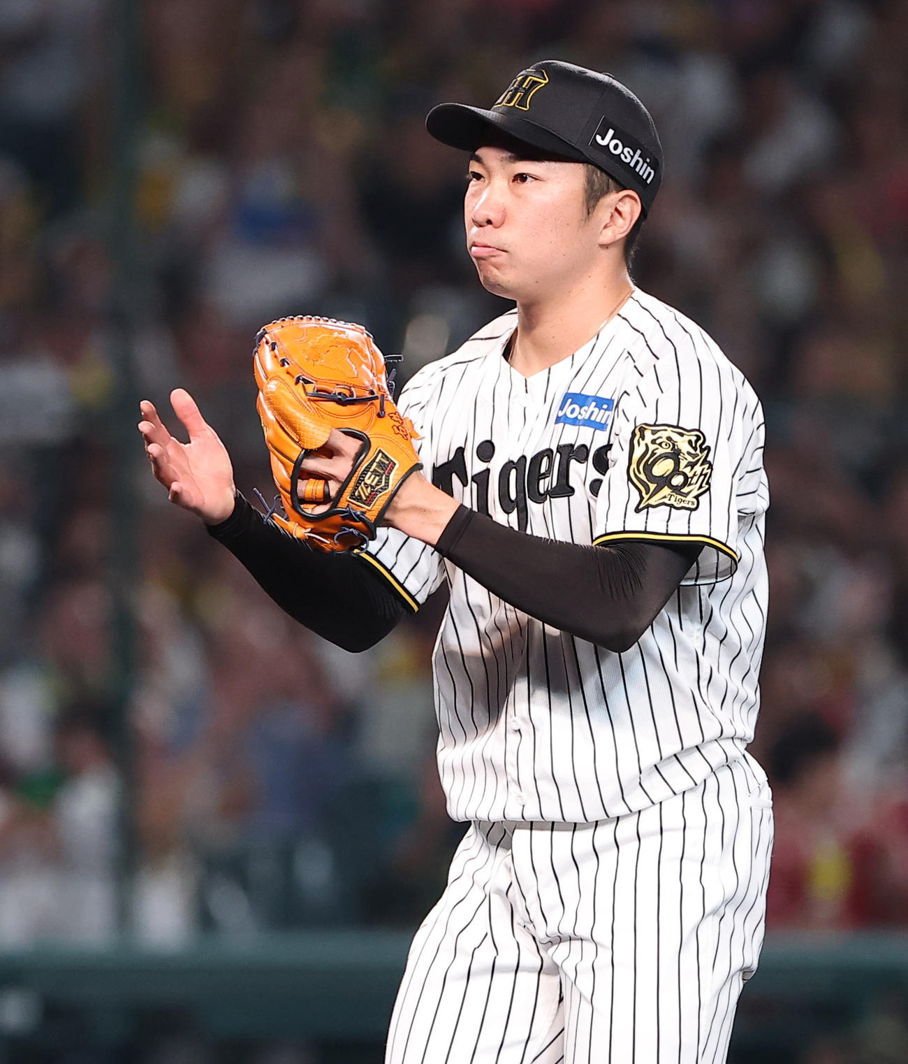 阪神対広島　8回を無失点に抑えた石井（撮影・上田博志）