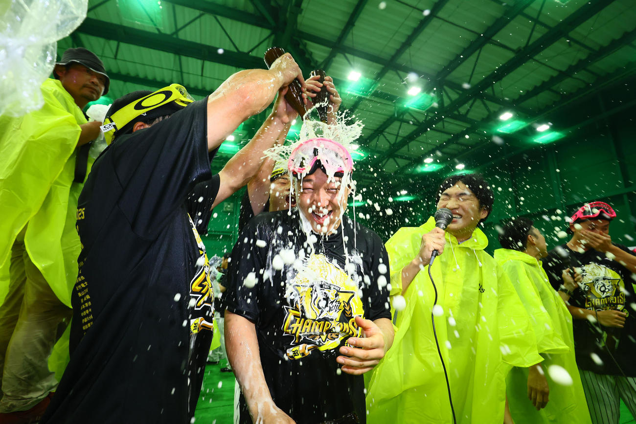 優勝祝勝会でビールをかけられる大山（撮影・藤尾明華）