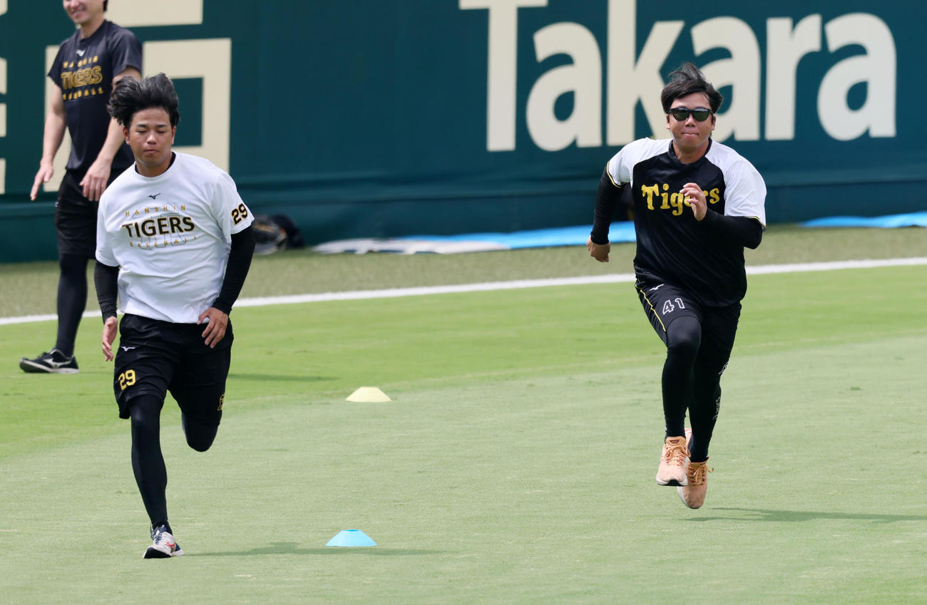 優勝から一夜明け、練習で外野をランニングする高橋（左）と村上（撮影・加藤哉）