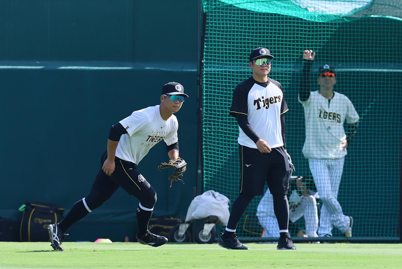 阪神対DeNA 1軍に合流し、守備練習をする阪神井坪（左）（撮影・藤尾明華）