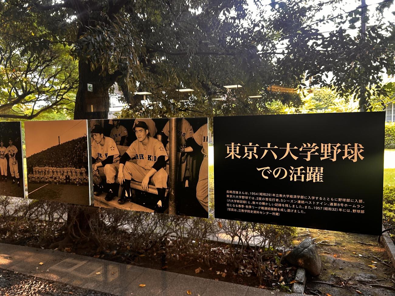 巨人長嶋茂雄終身名誉監督の母校立大で行われた長嶋茂雄氏逝去記念展。学生時代の写真やサイン入りバットが展示された（撮影・平山連）