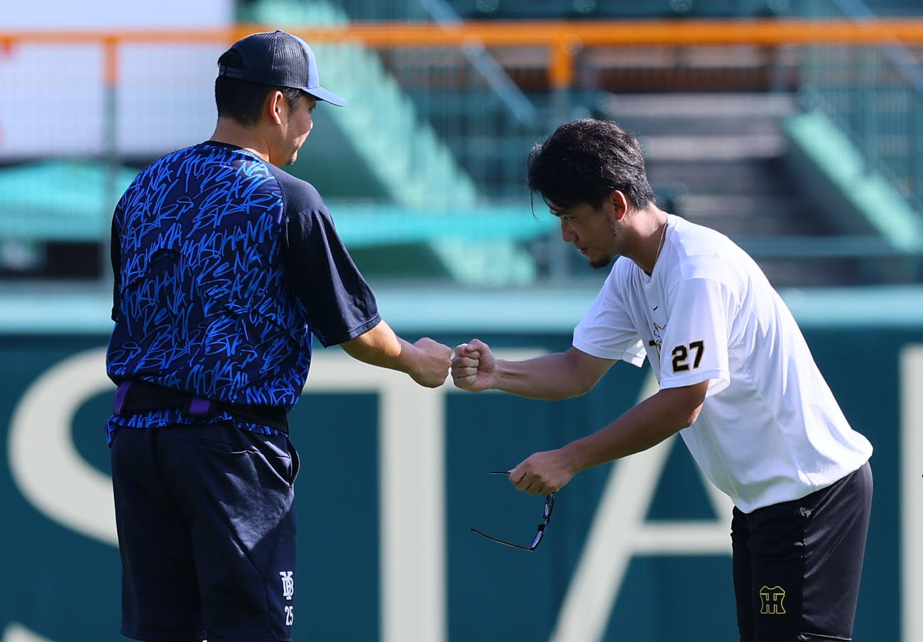 阪神対DeNA DeNA筒香にあいさつをする阪神伊藤将（撮影・藤尾明華）