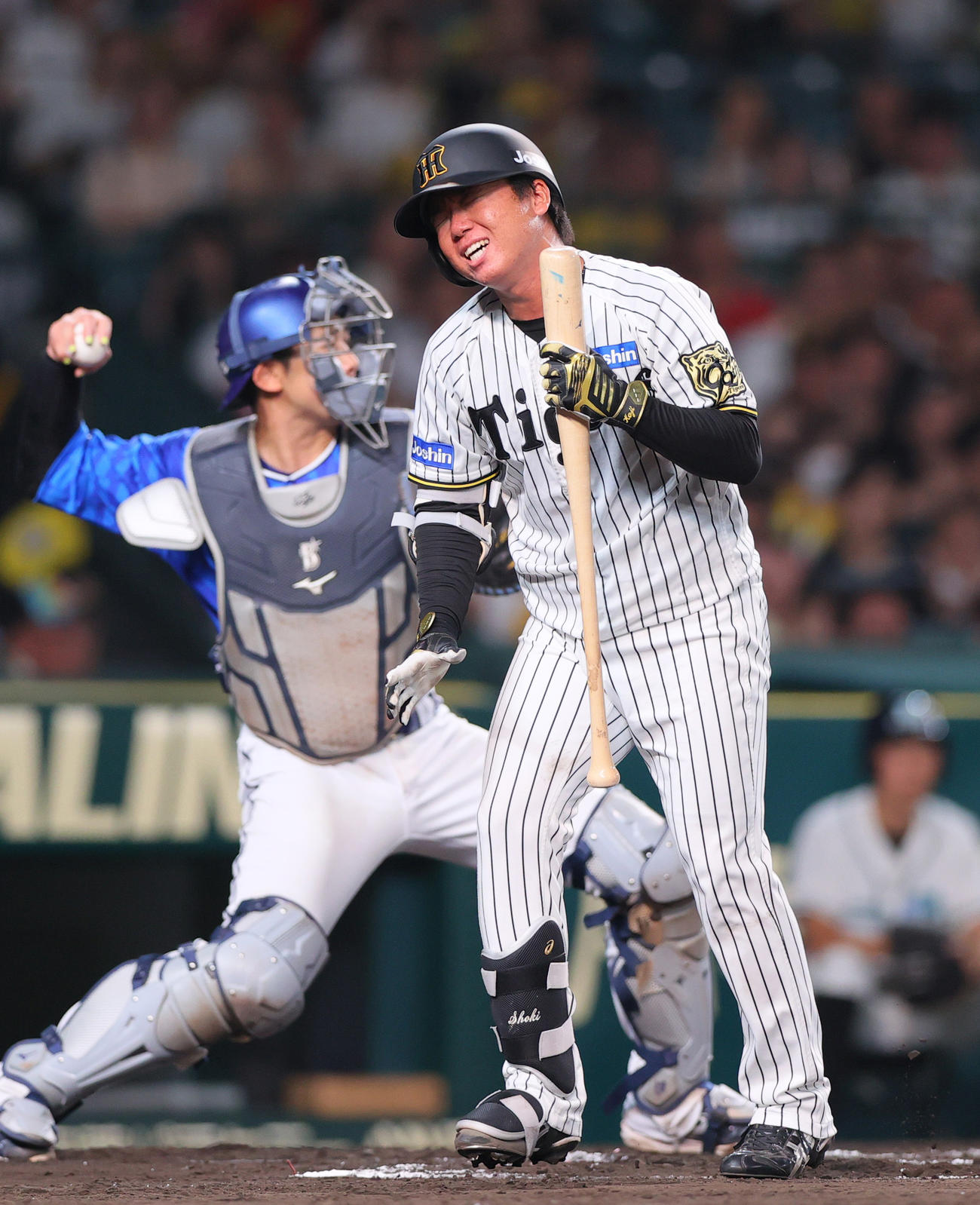 阪神対DeNA 6回裏阪神無死、村上は空振り三振に倒れ悔しがる（撮影・上山淳一）