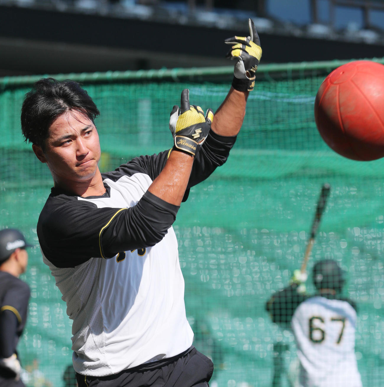 阪神対DeNA 1軍に合流した阪神井坪（撮影・上山淳一）