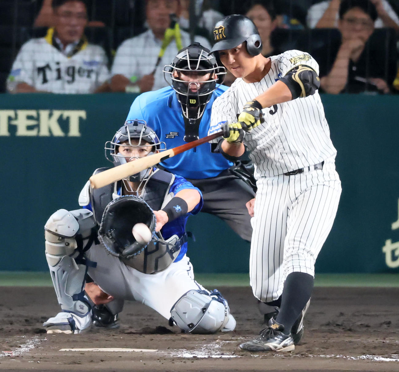 阪神対DeNA 8回裏阪神1死、代打井坪は三ゴロに倒れる（撮影・加藤哉）