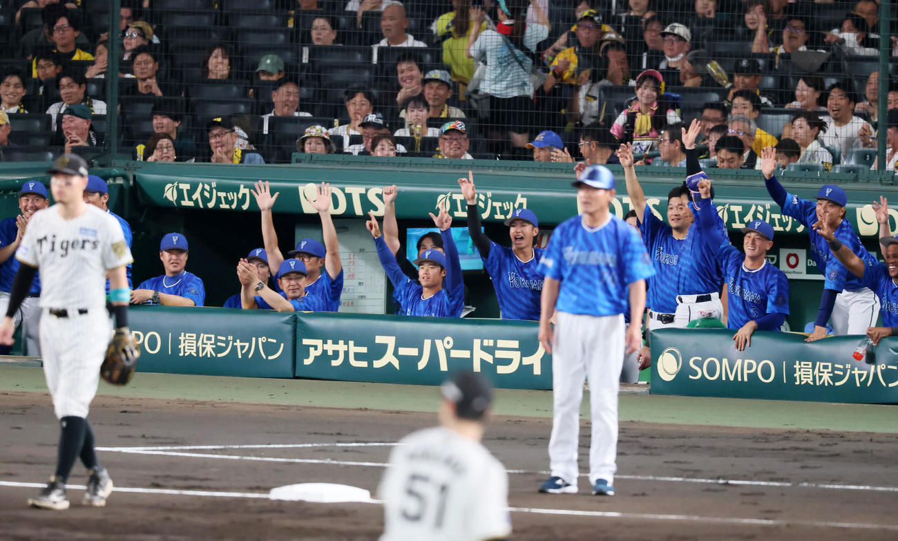 阪神対DeNA 2回表DeNA2死一、二塁、ケイの中越え2点適時二塁打をにベンチで喜ぶナイン（撮影・加藤哉）