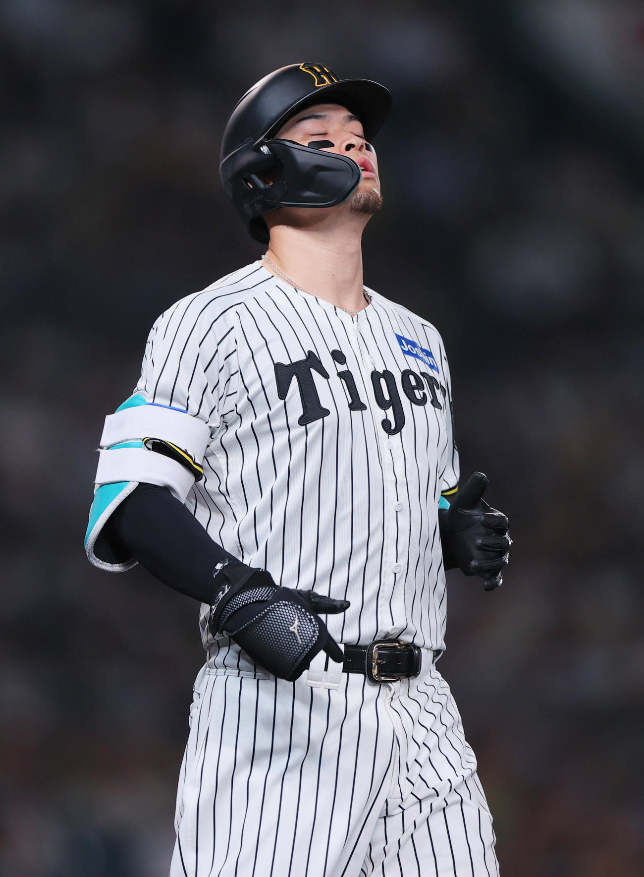 阪神対DeNA 4回裏阪神2死、佐藤輝は一ゴロに倒れ落胆する（撮影・上山淳一）